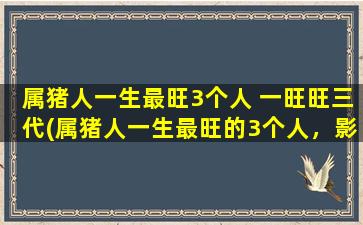 属猪人一生最旺3个人 一旺旺三代(属猪人一生最旺的3个人，影响力超乎想象，旺旺三代受益匪浅！)